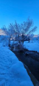 a snow covered field with trees and a river at Golden Spa Villa in Bihać