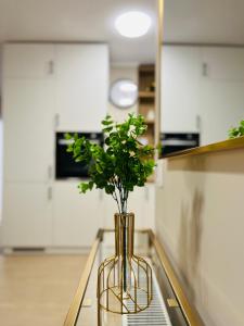 un vaso seduto su un tavolo con una pianta di Central Loft Mimozelor a Târgu-Mureş Altre 7 foto