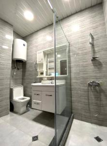 Un baño con ducha, lavabo e inodoro. en Old Villa in Dubrovnik, en Dubrovnik