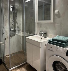 Koupelna v ubytování Apartman Panorama