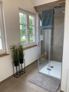 een badkamer met een glazen douche met 2 planten bij Ferienhaus Waldblick in Warendorf +27 foto's