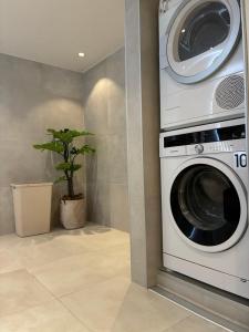a washer and dryer in a room with a plant at Leilighet i hus in Sarpsborg