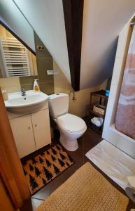 a bathroom with a toilet and a sink at Domek Kojsówka in Witów