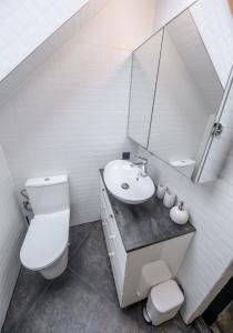 APARTAMENTY z GÓRSKIM KLIMATEM في دوشنيكي زدروي: حمام مع مرحاض ومغسلة ومرآة