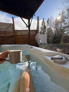 Billede fra billedgalleriet på Refuge Fristad - Microchalet Peppar avec spa privé i Saint-Calixte