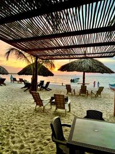 a beach with chairs and umbrellas and the ocean at Aquarius Diving Club y Cabañas in Rincón