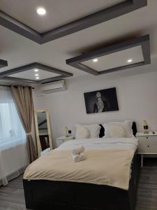 een slaapkamer met een groot bed en een spiegel bij Hera Exclusive Stay in Timişoara