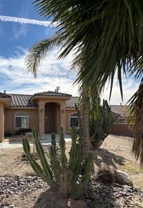 a palm tree in front of a house with a cactus at Desert Vista View in Desert Hot Springs