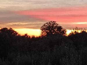 Η ανατολή ή δύση του ηλίου όπως φαίνεται από αυτό το bed & breakfast ή από εκεί κοντά +30 φωτογραφίες