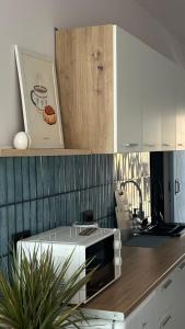 Η κουζίνα ή μικρή κουζίνα στο Molfar