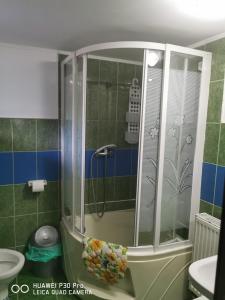 a shower with a glass door in a bathroom at Casa Valea Cerbului Busteni in Buşteni