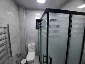 Un baño con inodoro y ducha de cristal. en Уютный дом для семьи AL INN, en Qusar