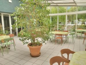 Un árbol en maceta en un patio con mesas y sillas. en Le Patio De La Dordogne, en Souillac