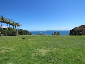 a field with palm trees and the ocean in the background at Coopers Haven- Beachfront House in Coopers Beach +13 photos