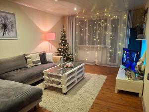 a living room with a christmas tree in the window at Kalda tee Apartment - self chech-in, free parking in Tartu