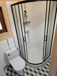 Et badeværelse på WYPOCZYWANKO w BORSKU domek 42