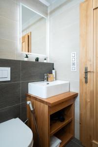 a bathroom with a white sink and a mirror at Aspen Lodge Apartments & Sauna in Černý Dŭl +35 photos
