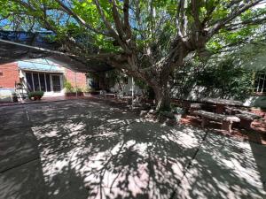 eine Gruppe von Bänken und ein Baum in einem Innenhof in der Unterkunft Hotel General Paz in Villa Carlos Paz