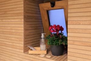 a window in a room with a potted plant and a mirror at Vintage Rooms in Palermo