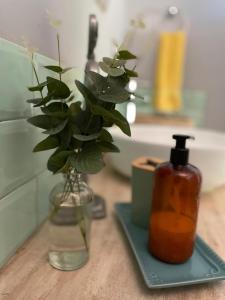 eine Badezimmertheke mit einer Flasche Seife und einer Pflanze in der Unterkunft Agradable casa con Tina de agua Caliente y Piscina in Quillón