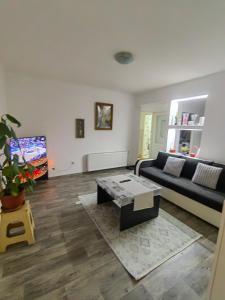 Μια τηλεόραση ή/και κέντρο ψυχαγωγίας στο DIVLJI RAJ USLUGA SMESTAJa