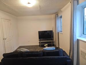 TV a/nebo společenská místnost v ubytování Relaxing and Comfort + 10 fotografií