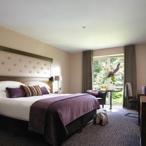 Una cama o camas en una habitación de Dunboyne Castle Hotel & Spa 31 fotos más