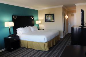Gallery image of Holiday Inn Express Van Nuys by IHG in Van Nuys