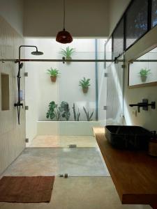 ein Badezimmer mit Glasdusche und Topfpflanzen an der Wand in der Unterkunft Reserva Atmosfëre in Upala