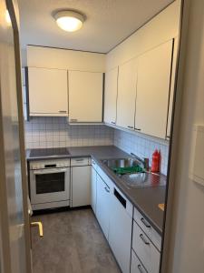 een keuken met witte kasten en een spoelbak bij Canaima in Luzern