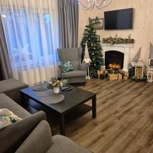a living room with a christmas tree and a coffee table at Vēverkalni in Vidriži