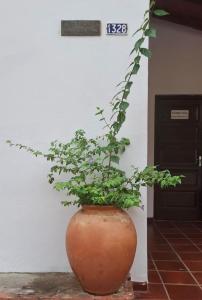 Φωτογραφία από το άλμπουμ του Habitación en casa rústica con aire acondicionado y wifi en el centro de Asunción στην Ασουνσιόν