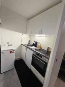 Kuchyň nebo kuchyňský kout v ubytování Munich Apartments + 11 fotografií