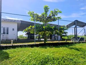 Κήπος έξω από το Casa Fiorella