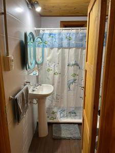 un bagno con lavandino e tenda da doccia di Olivillos II a Balneario Pehuén-Có