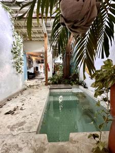 Πισίνα στο ή κοντά στο Casa Azul Tropical House by Xarm Apartments