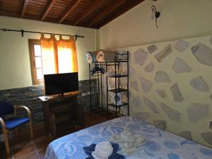 Un dormitorio con una cama y un televisor en una habitación. en Casa Rural Vicente, en Vallehermoso