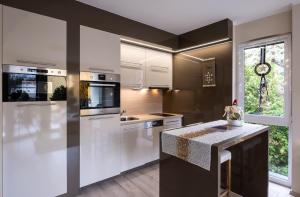 Η κουζίνα ή μικρή κουζίνα στο Kriszta Residence +11 φωτογραφίες