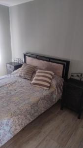Una cama con dos almohadas encima en un dormitorio. en Preciosa Casa con Terraza al Valle Grande, San Rafael Mendoza de 1 a 5 Personas, en Valle Grande