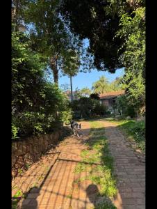 un perro está caminando por un camino de tierra en Habitación para 4 en el centro de Asunción con piscina e inmenso jardín, en Asunción