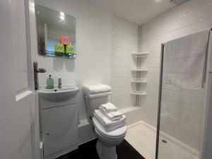 a bathroom with a toilet and a sink and a shower at One bed Mews House in Northwood +9 photos