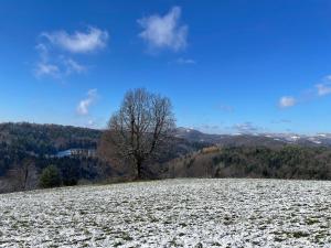 Φωτογραφία από το άλμπουμ του Zerko Holiday Apartment MARJETKA with WELLNESS bookable separately σε Mirna