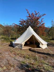 uma tenda branca no meio de um campo em Puntacamp Patagonia em Luis Soto