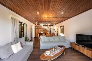 a living room with two couches and a television at Maison du Mont in Kalopanayiotis