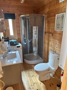 a bathroom with a shower and a toilet and a sink at Le Finland labélisé 3 étoiles in Bourbourg +14 photos