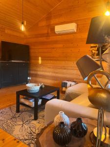 a living room with a couch and a flat screen tv at Le Finland labélisé 3 étoiles in Bourbourg