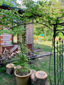 Afbeelding uit fotogalerij van Maniesh in Leuenberg +38 foto's