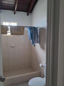 Lovely 3-bedroom house located near Oistins, close to beaches and Golf course في كرايست تشيرش: حمام مع مرحاض ودش مع منشفة