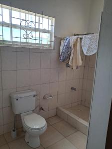 Lovely 3-bedroom house located near Oistins, close to beaches and Golf course في كرايست تشيرش: حمام مع مرحاض ودش ونافذة +5 صور