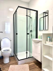 Un baño con ducha de cristal y un inodoro. en Miniapartment mit Bad und Kochnische, en Dingolfing